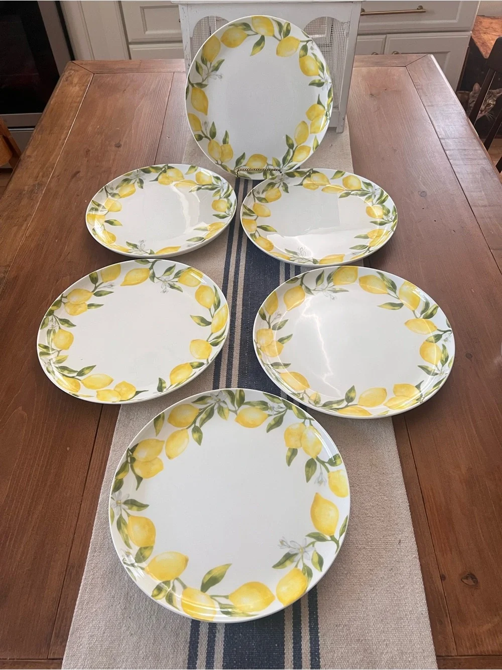 Set Of 6 Mikasa Lemon Dinner Plates 11